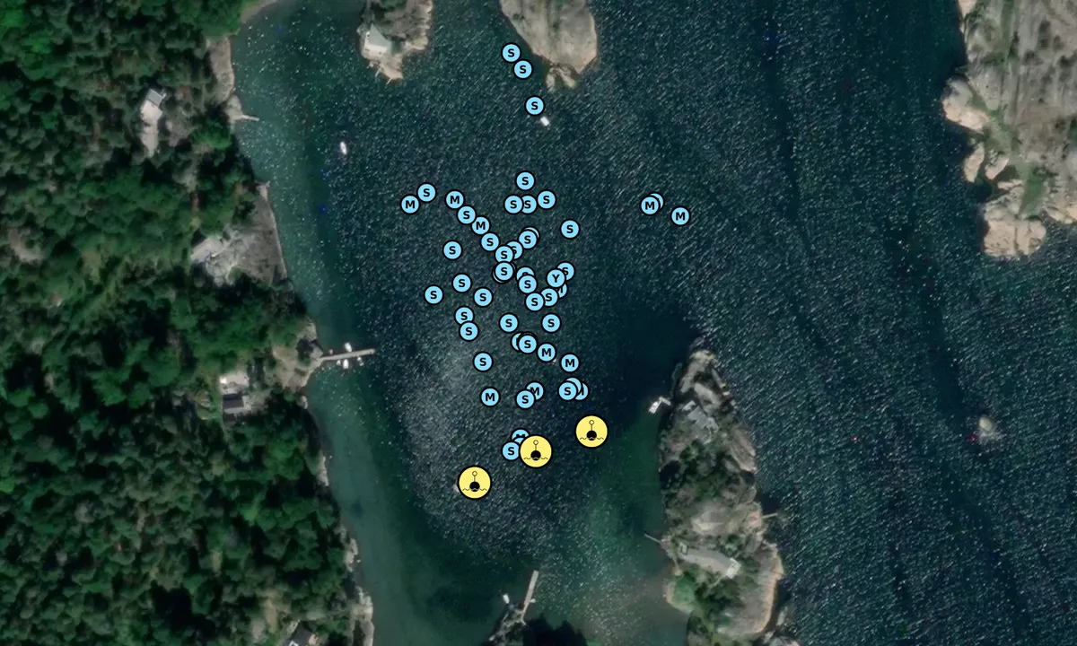 Satelite image of Skutebukta