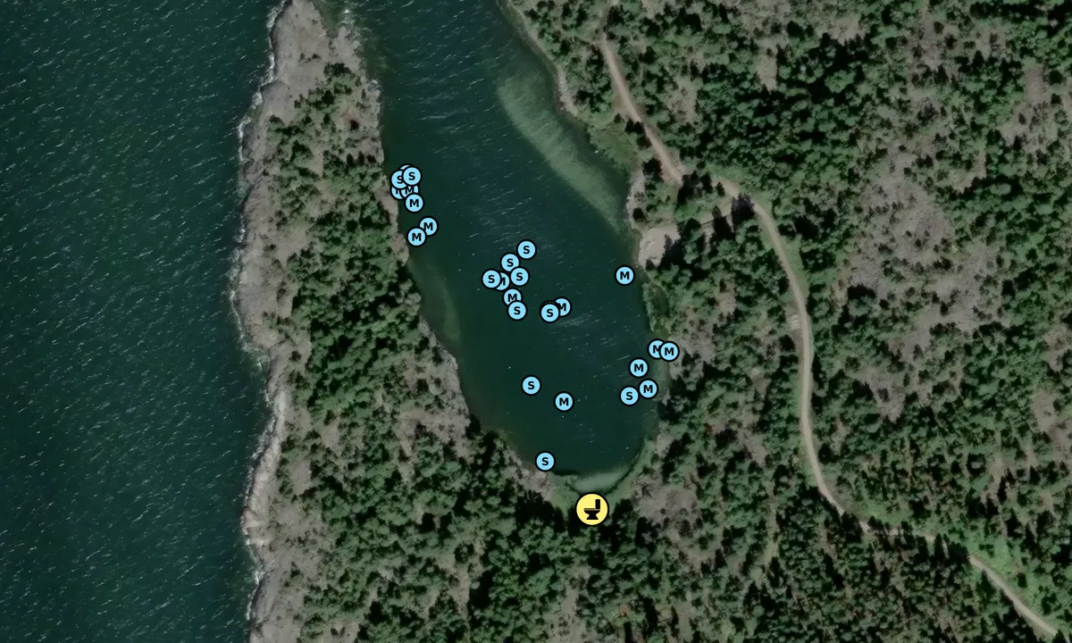 Satelite image of Skutviken