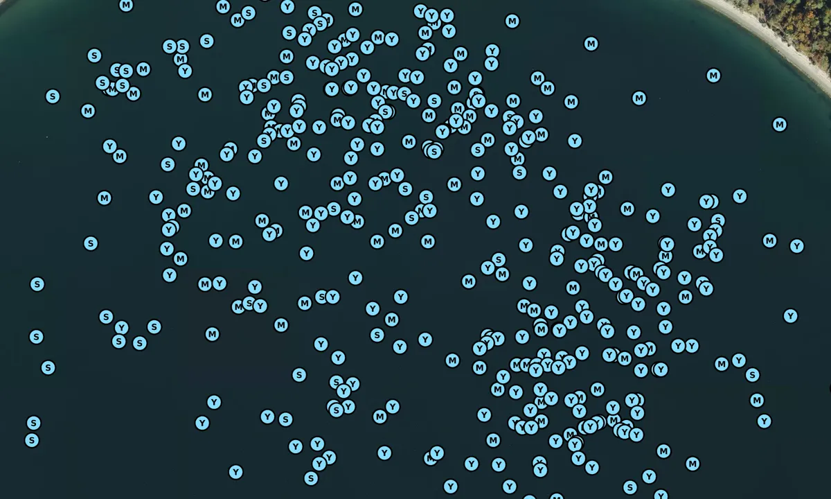 Satelite image of Smith Cove - Shelter Island