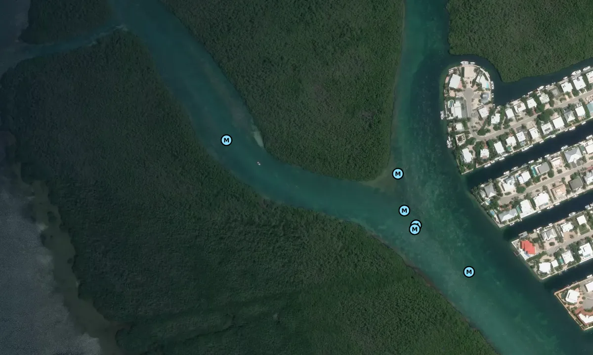 Satelite image of Snake Creek