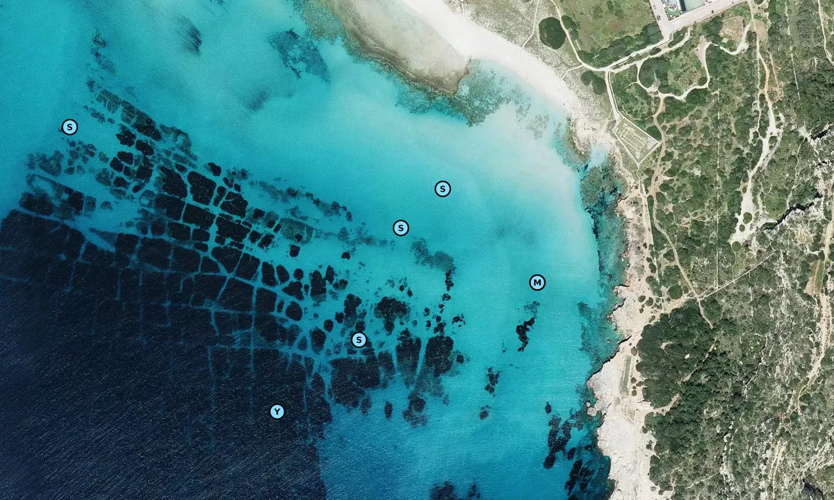 Satelite image of Son Bou