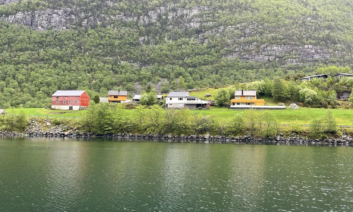 Sørgulen: Mot øst