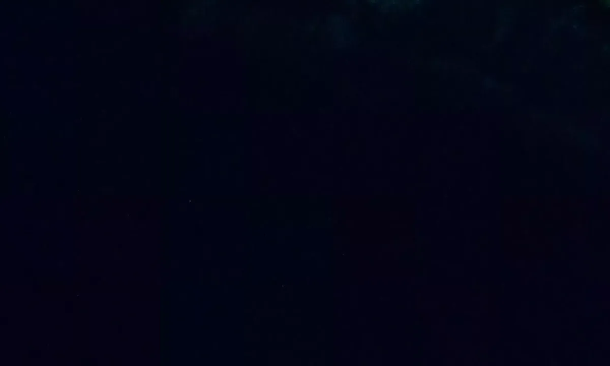 Satelite image of Sørskarvågen