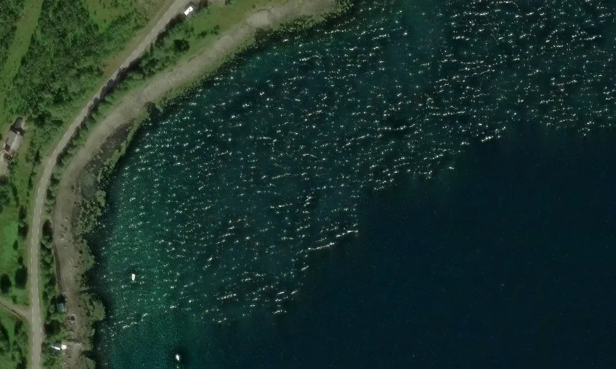 Satelite image of Sortebukta