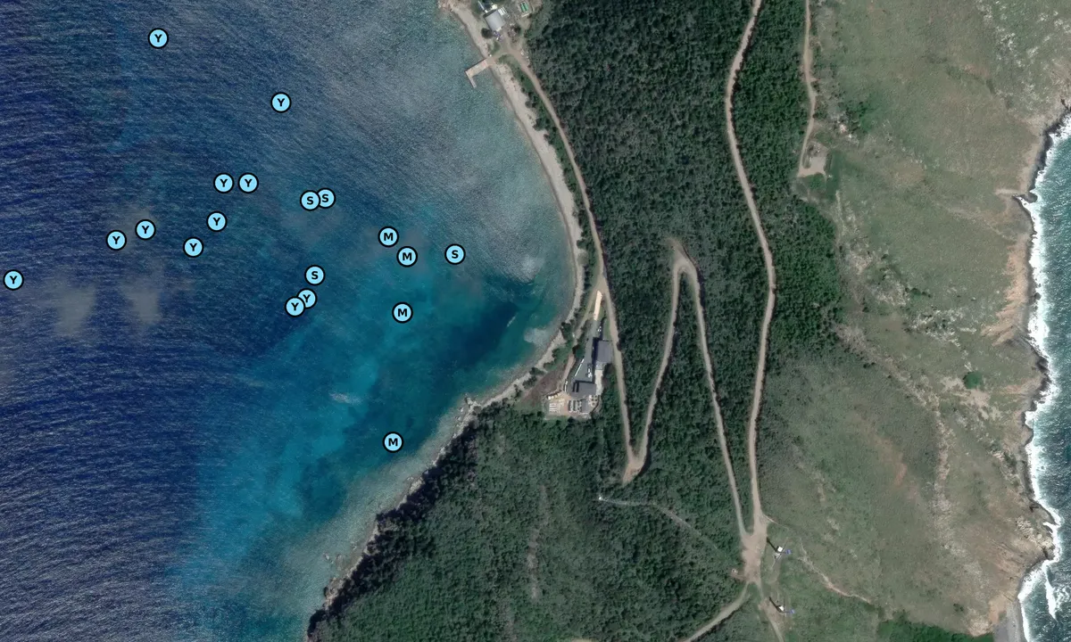 Satelite image of South Bay 1