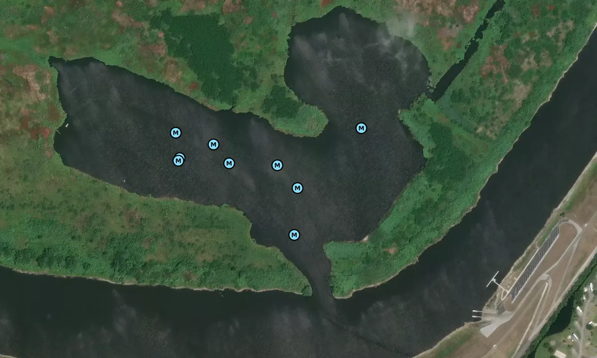 Satelite image of South Bay