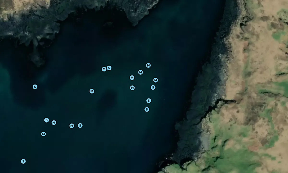 Satelite image of South Bay, Eigg