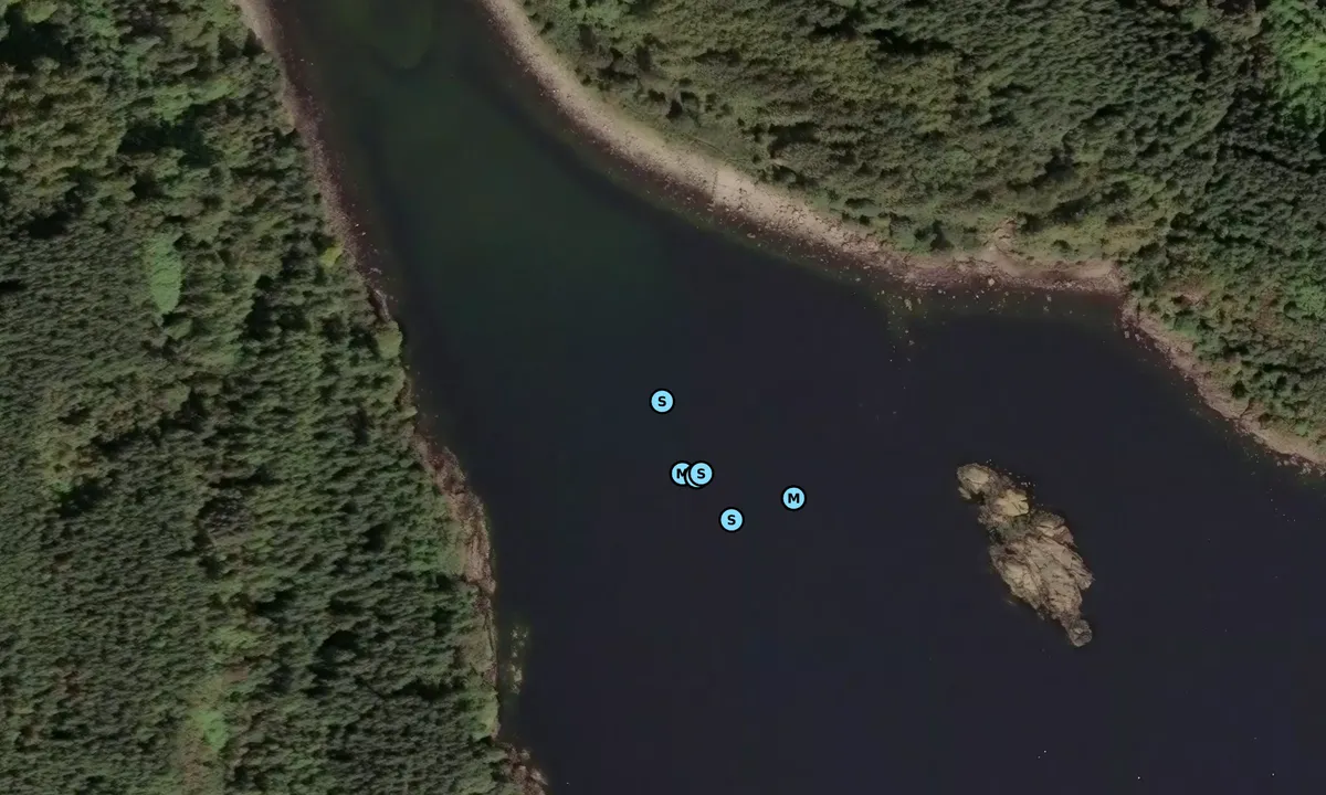 Satelite image of South Bay (Tarbert)