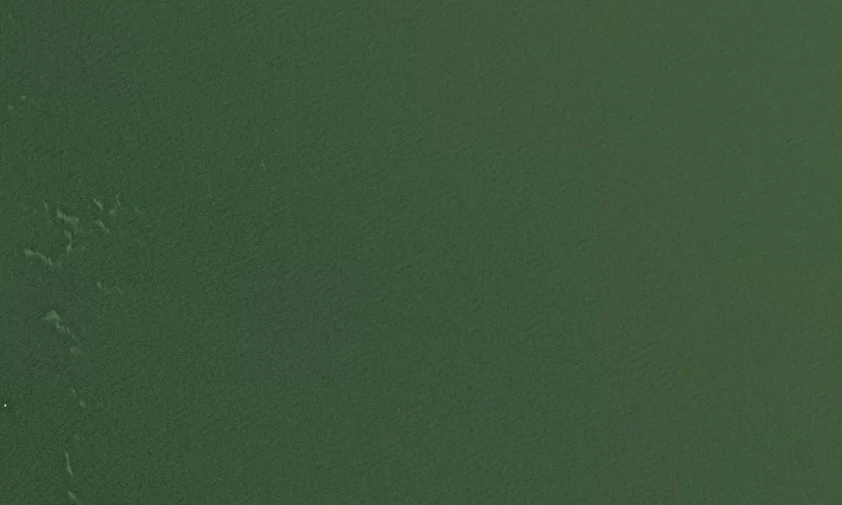 Satelite image of South Cox Island