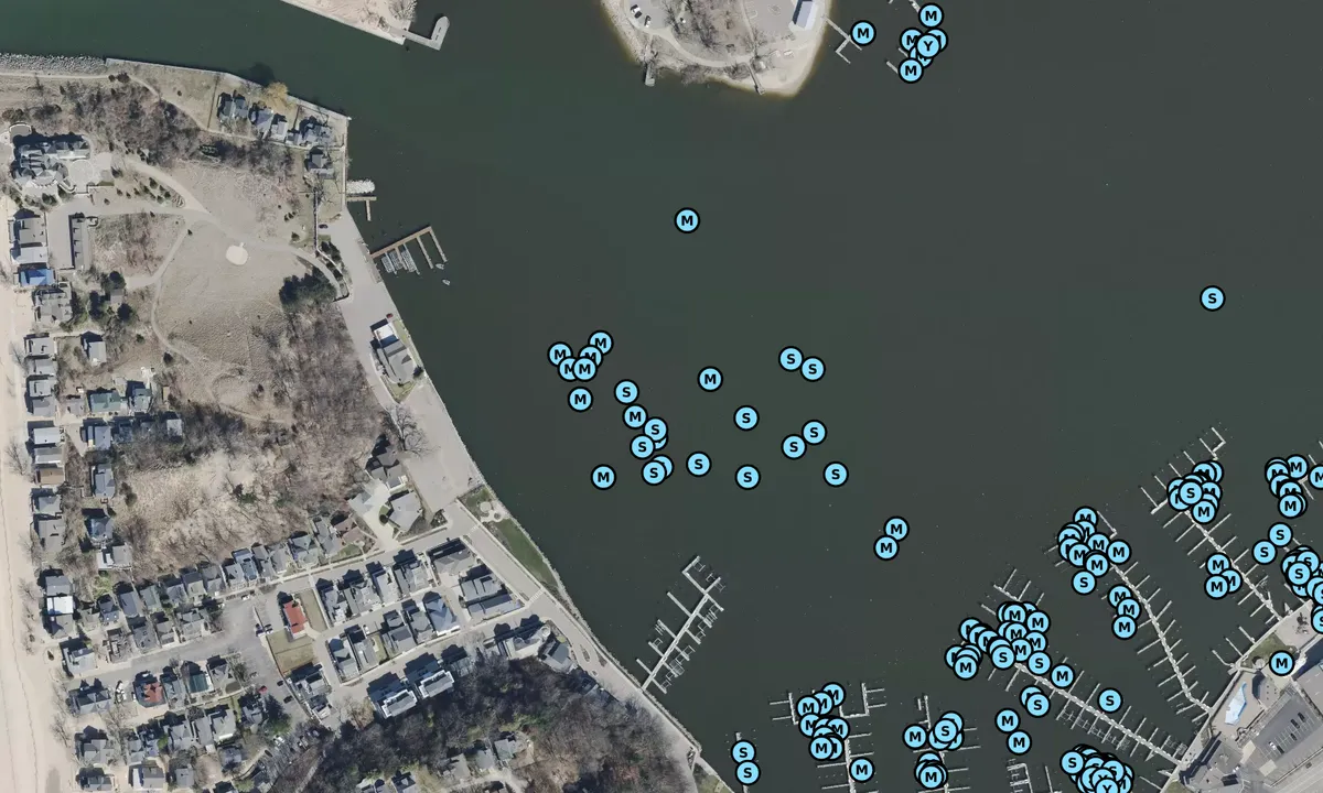 Satelite image of South of Macatawa Inlet