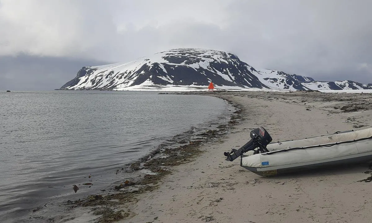 South Smeerenbukta