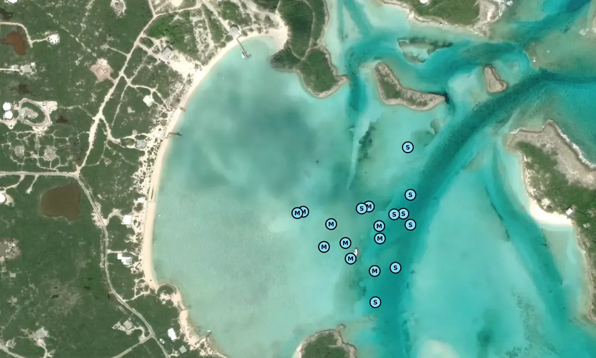 Satelite image of South Staniel Cay