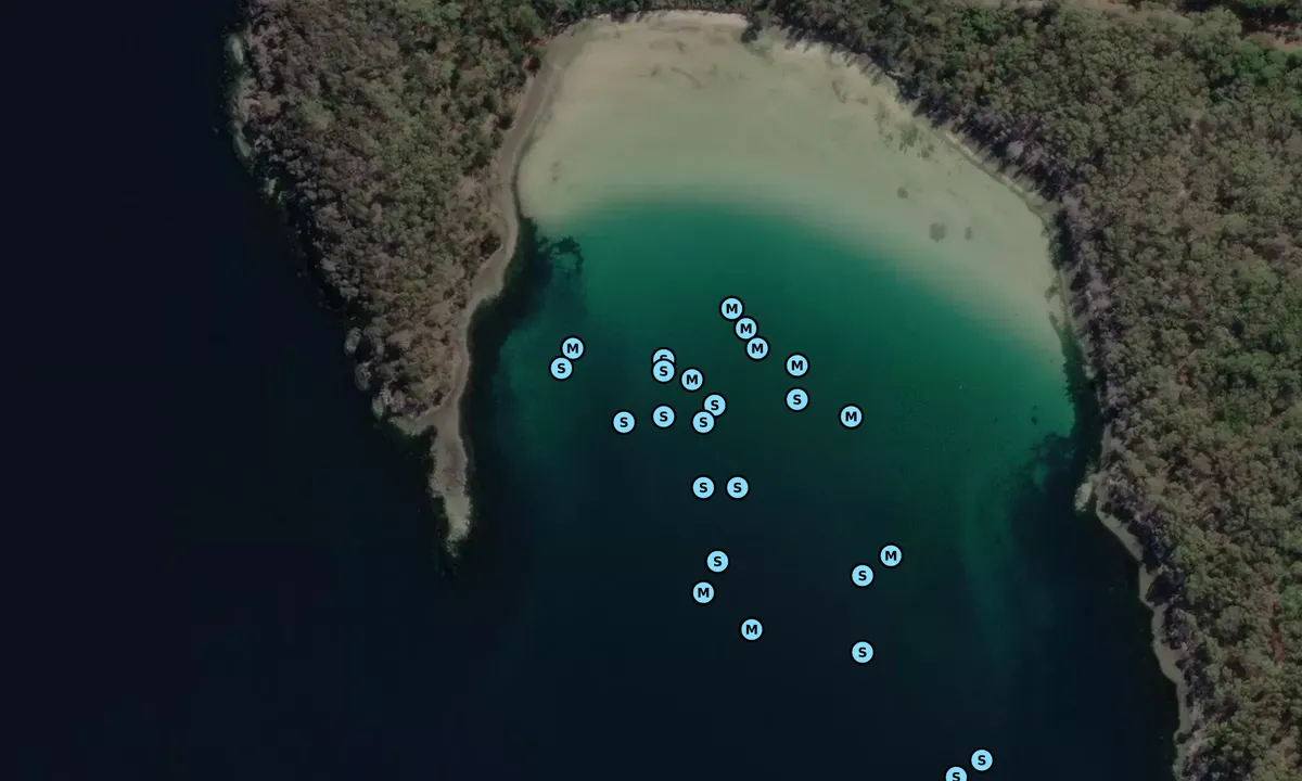 Satelite image of South Tinpot