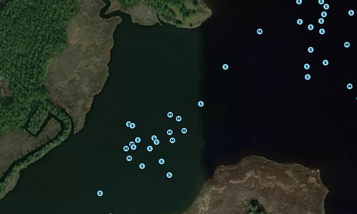 Satelite image of Southwest Creek