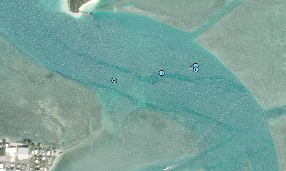 Satelite image of Spanish Wells NE