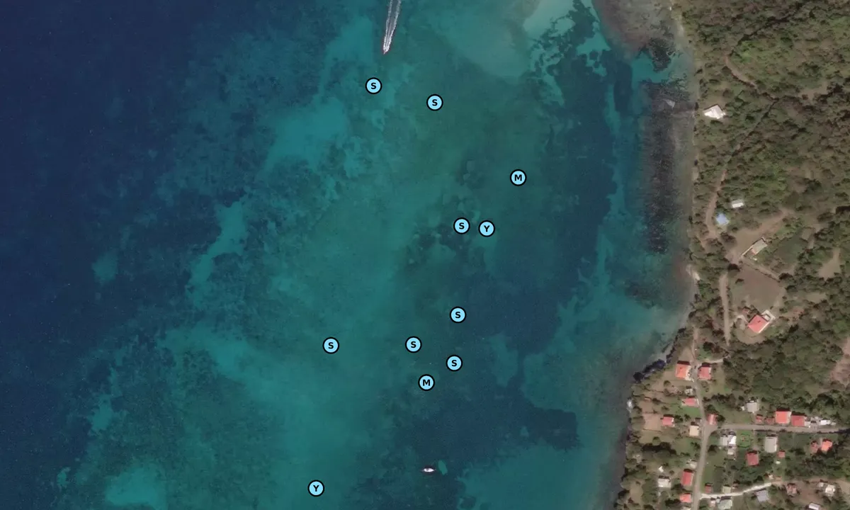 Satelite image of Sparrow Bay