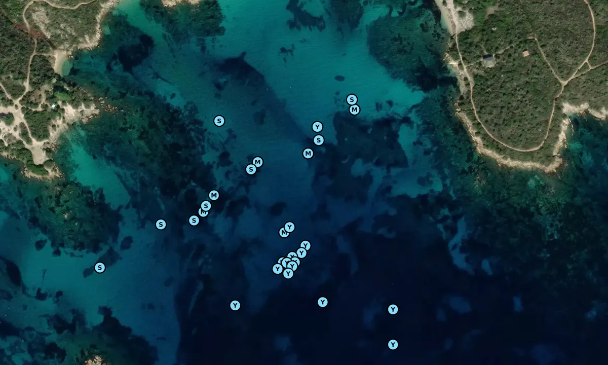 Satelite image of Spiaggia Bianca