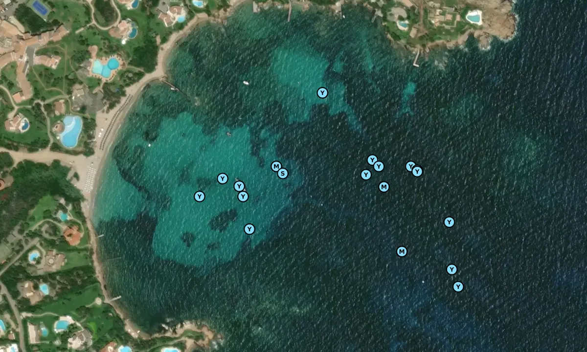 Satelite image of Spiaggia Del Romazzino