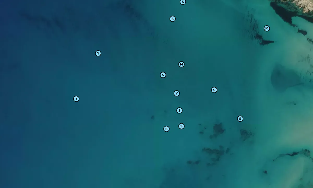 Satelite image of Spiaggia Rena Majori