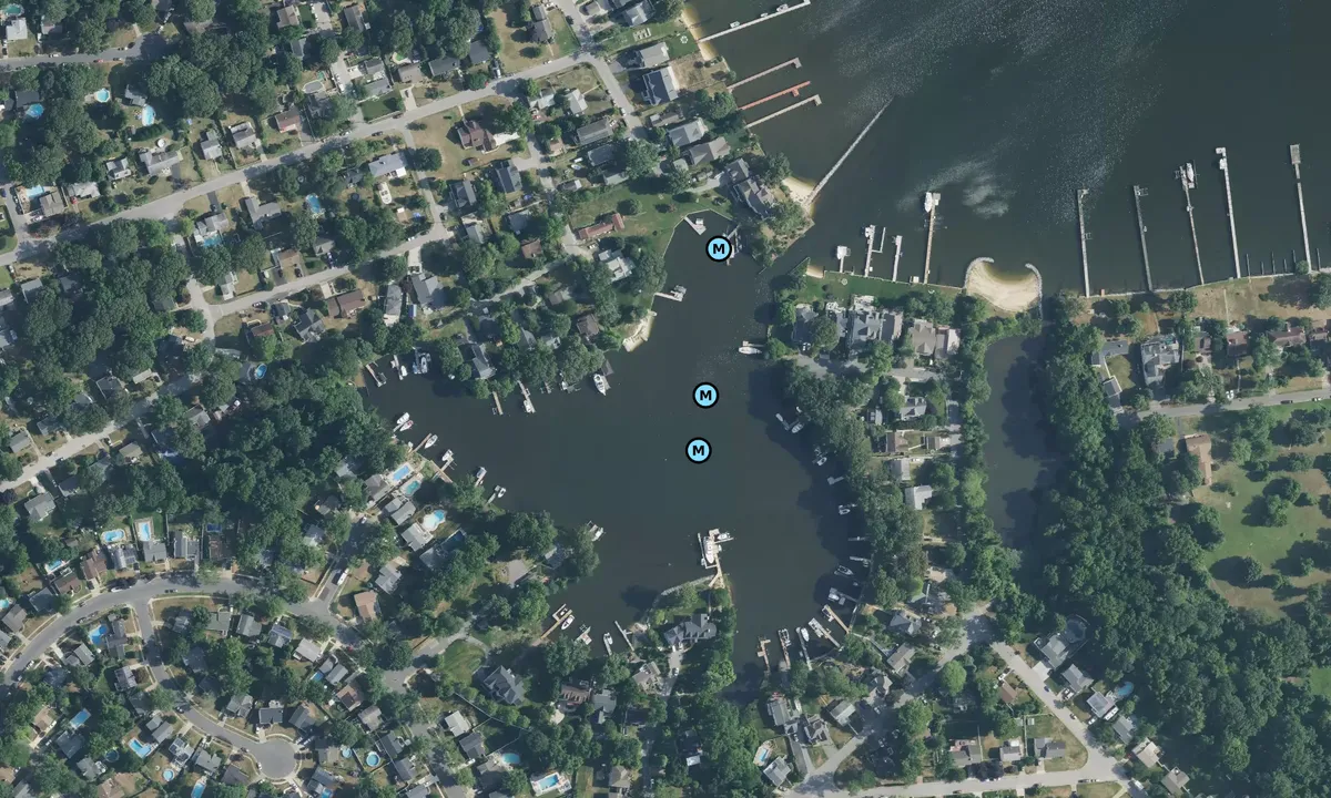 Satelite image of Spriggs Pond