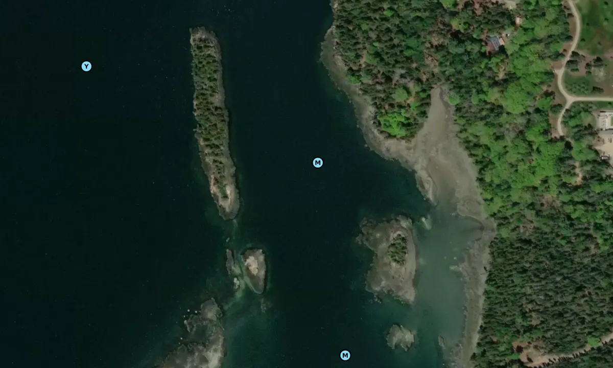 Satelite image of Squid Cove