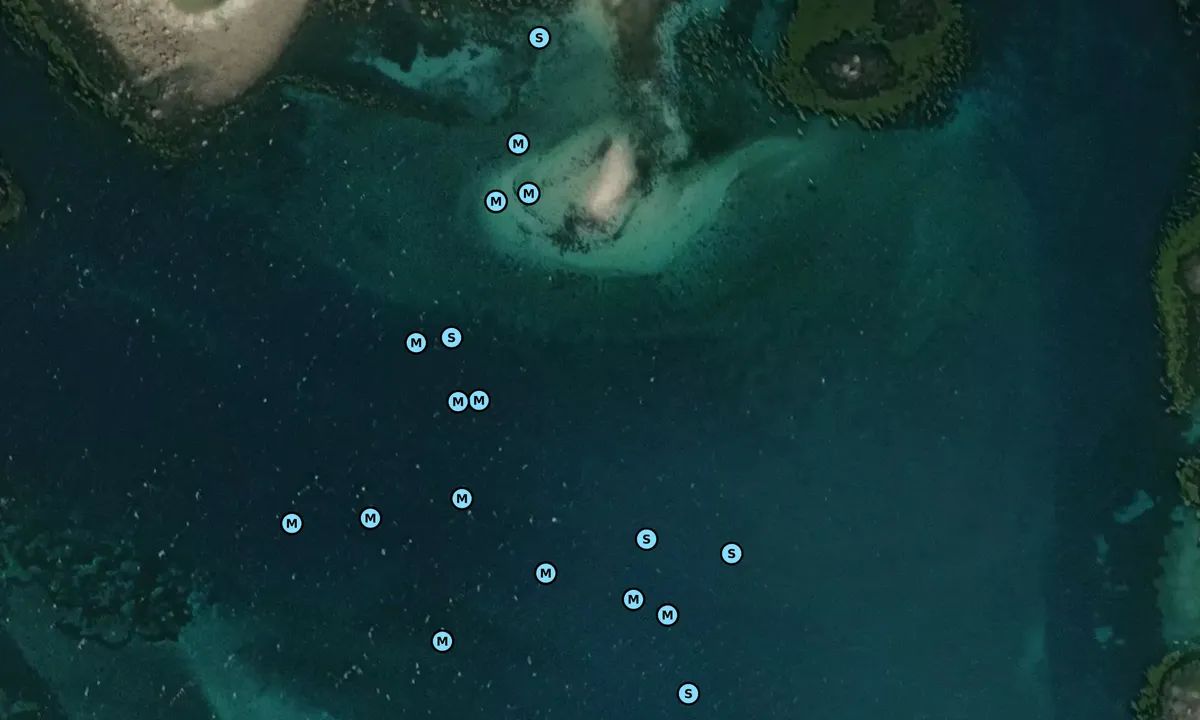 Satelite image of St Helen’s Pool