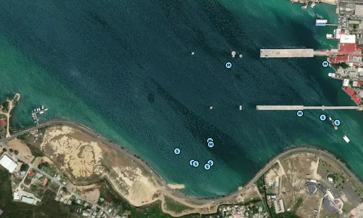 Satelite image of St John's