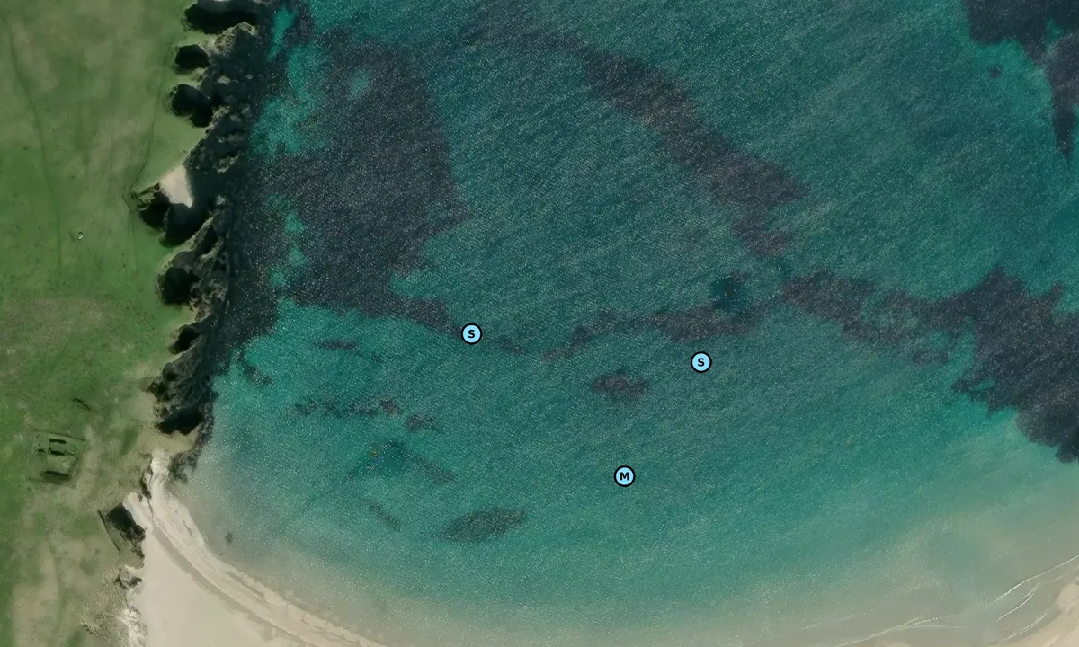 Satelite image of St Ninians north