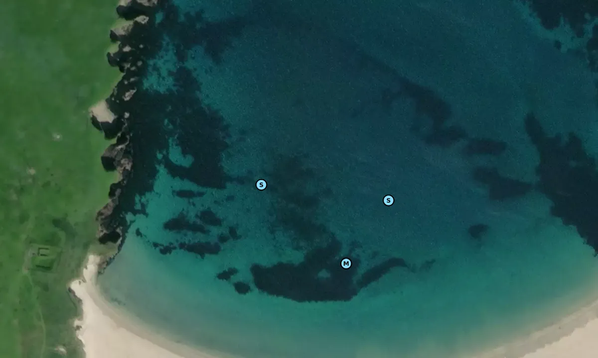 Satelite image of St Ninians north