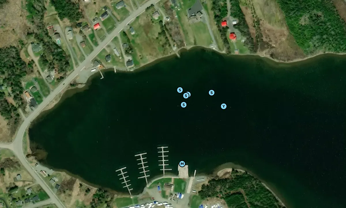 Satelite image of St. Peter's Marina mooring field