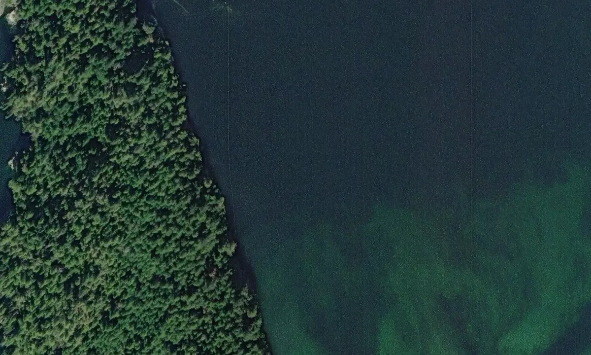 Satelite image of Stagoo Creek Cove