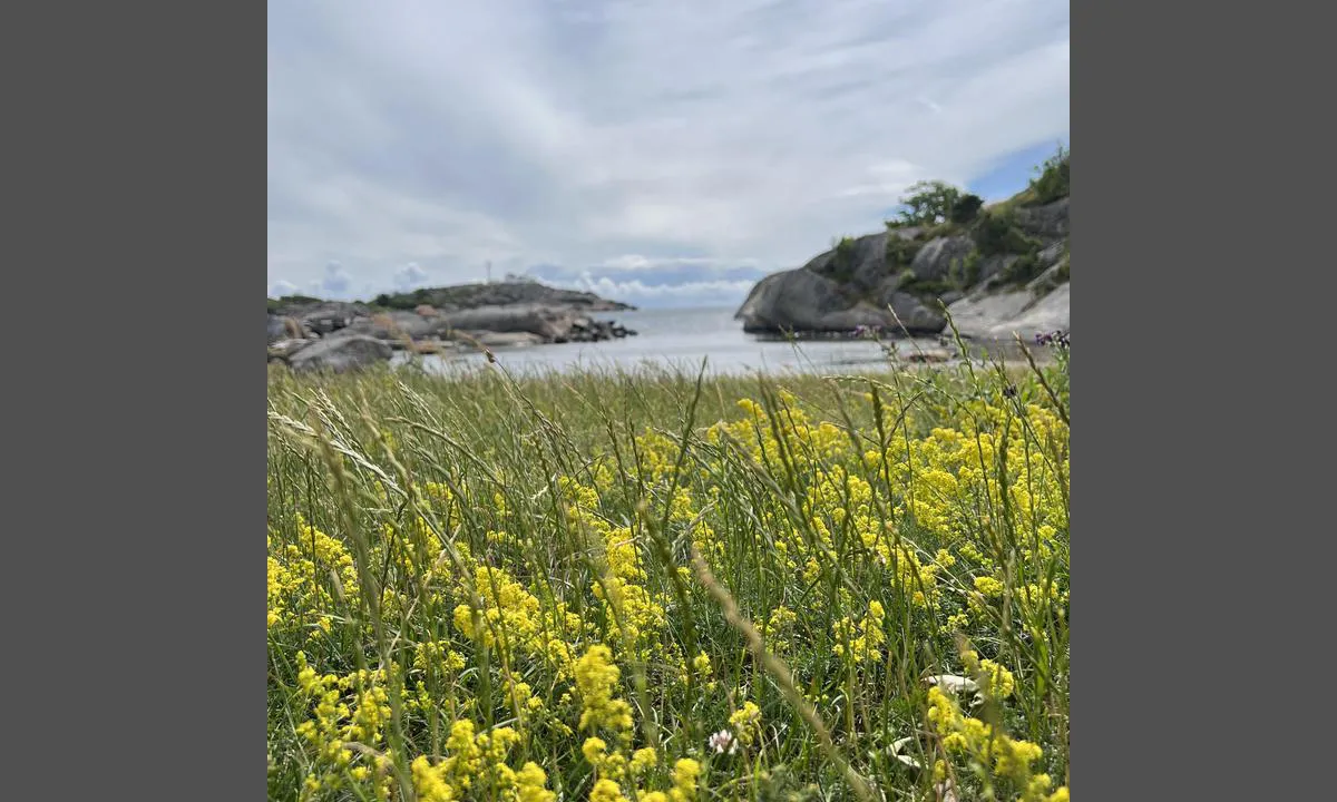 Stavern Gjestehavn