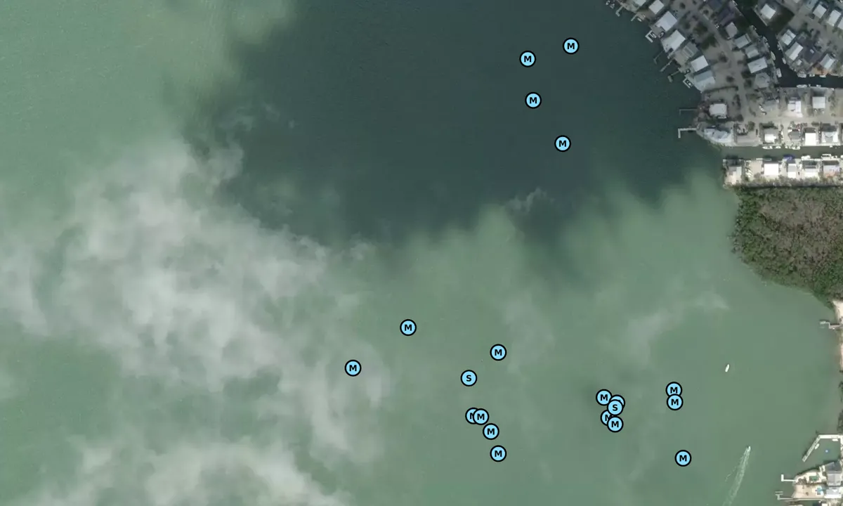 Satelite image of Stellrecht Point