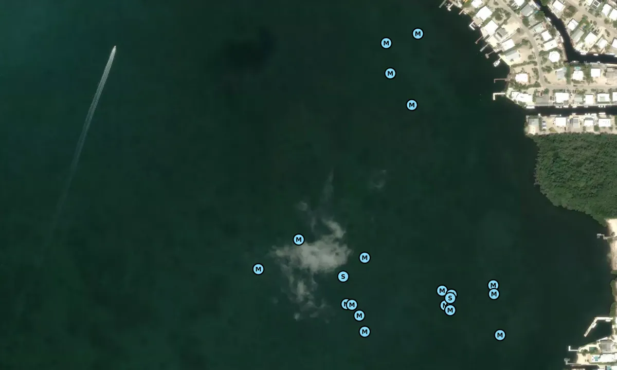 Satelite image of Stellrecht Point