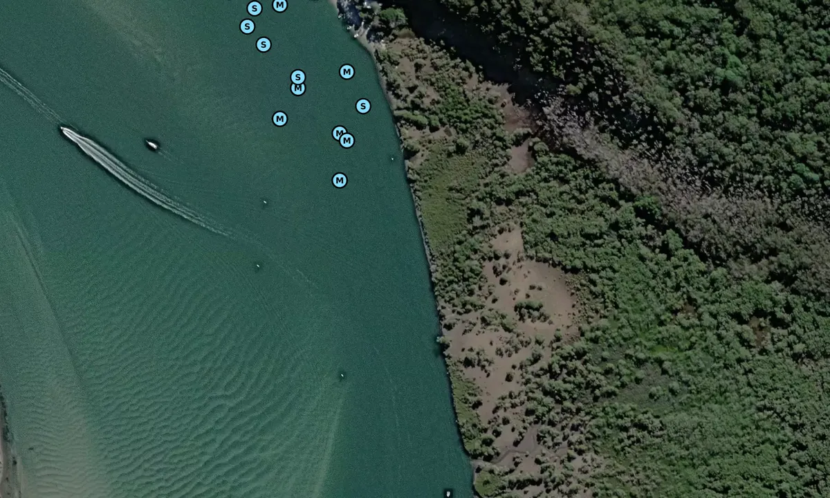 Satelite image of Stingaree Island SW