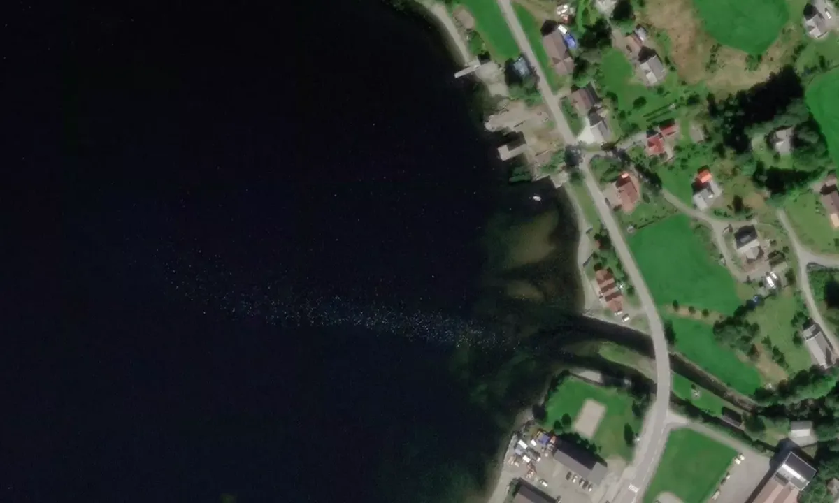 Satelite image of Stongfjorden - Askvoll