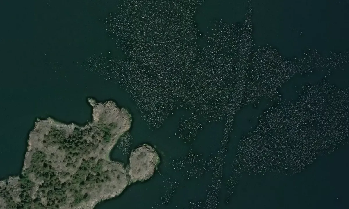Satelite image of Stora Gråskär - Älgskär - Sankt ANNA