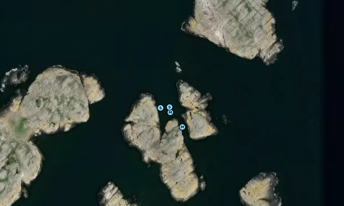 Satelite image of Stora och Lilla Gåsö - Väderöarna