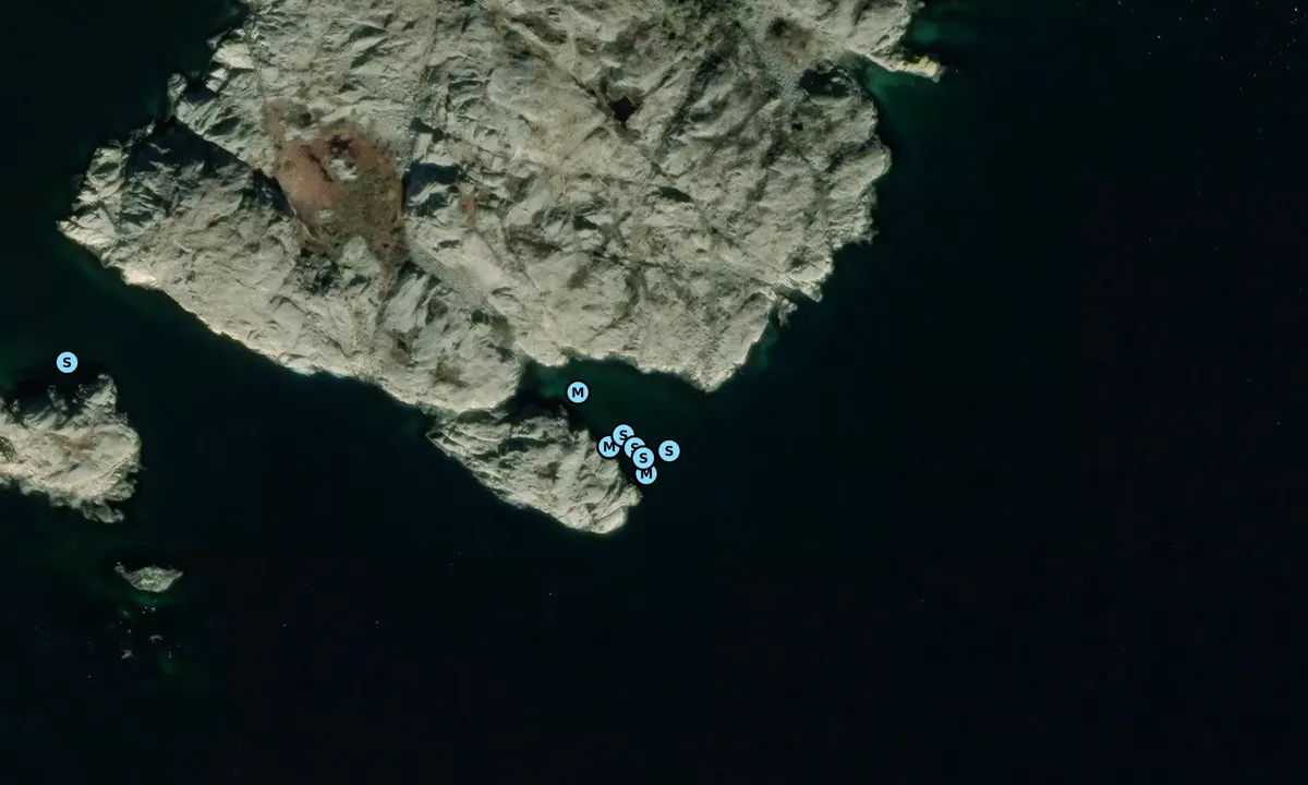 Satelite image of Store Karholmen