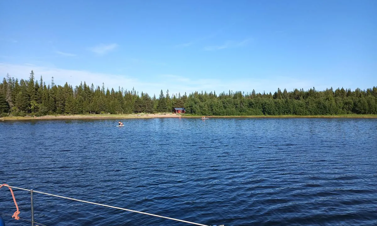 Kluntarna