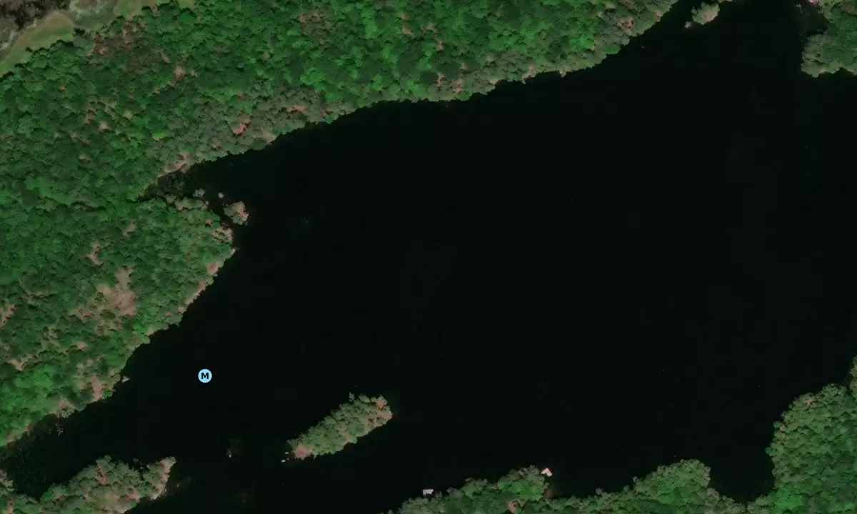 Satelite image of Stout's Bay