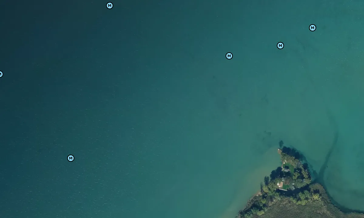 Satelite image of Strawberry Island (swimming hole)