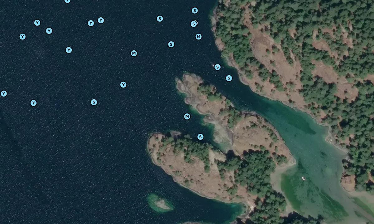 Satelite image of Sunset Cove 1