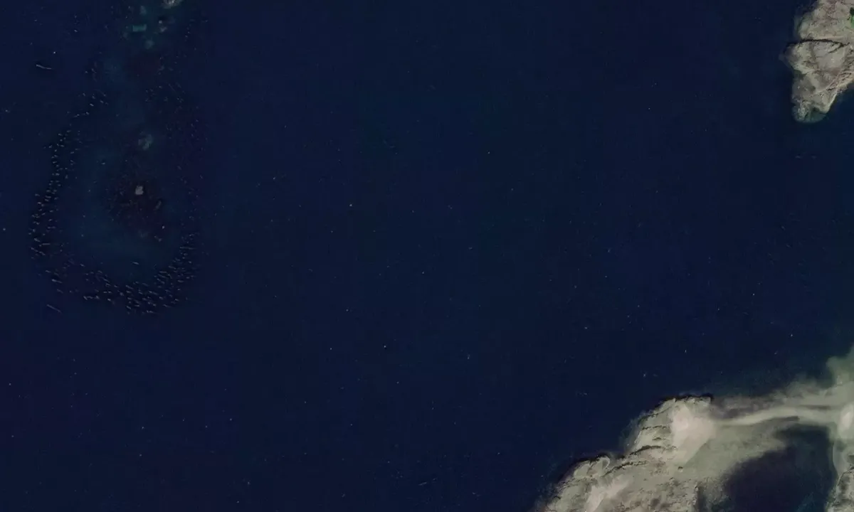 Satelite image of Surprise Harbor