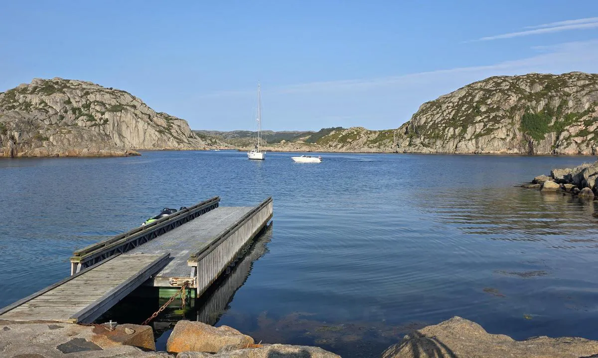 Sutnøy