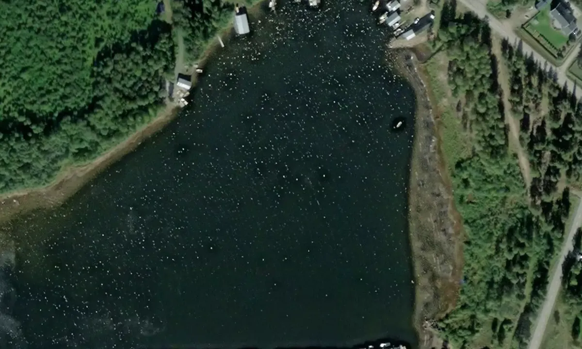 Satelite image of Svedjeviken