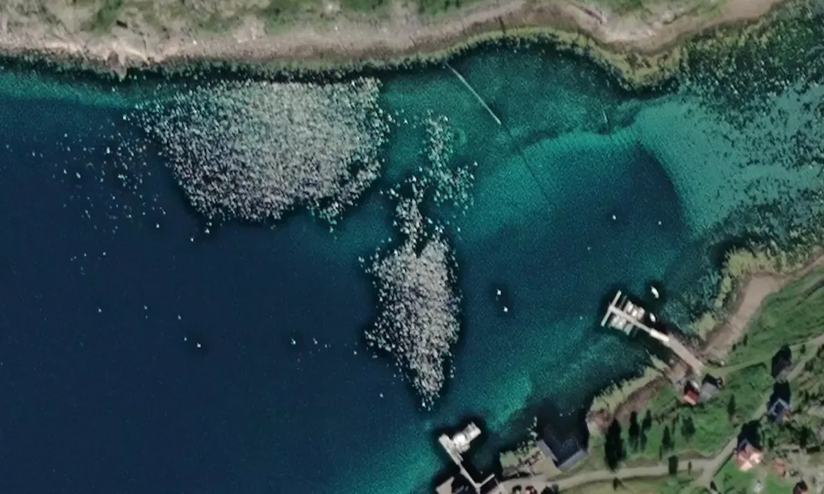 Satelite image of Svensgam