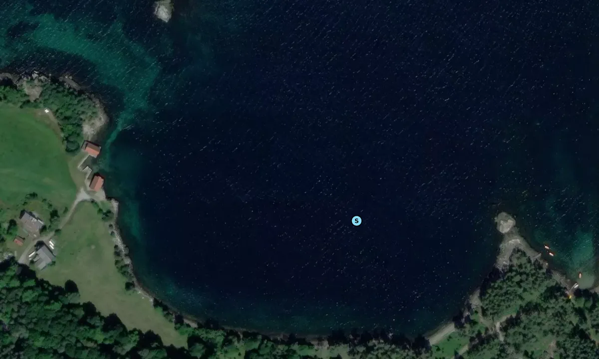 Satelite image of Svines