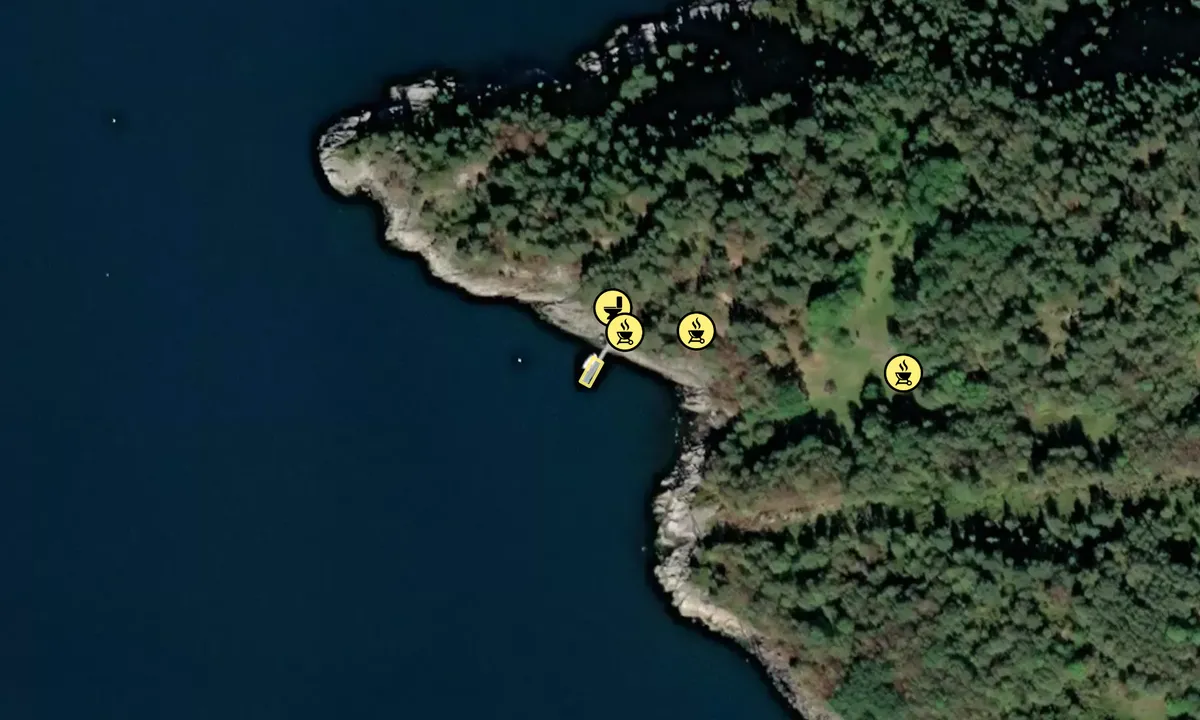 Satelite image of Svinøya friluftsområde - vest