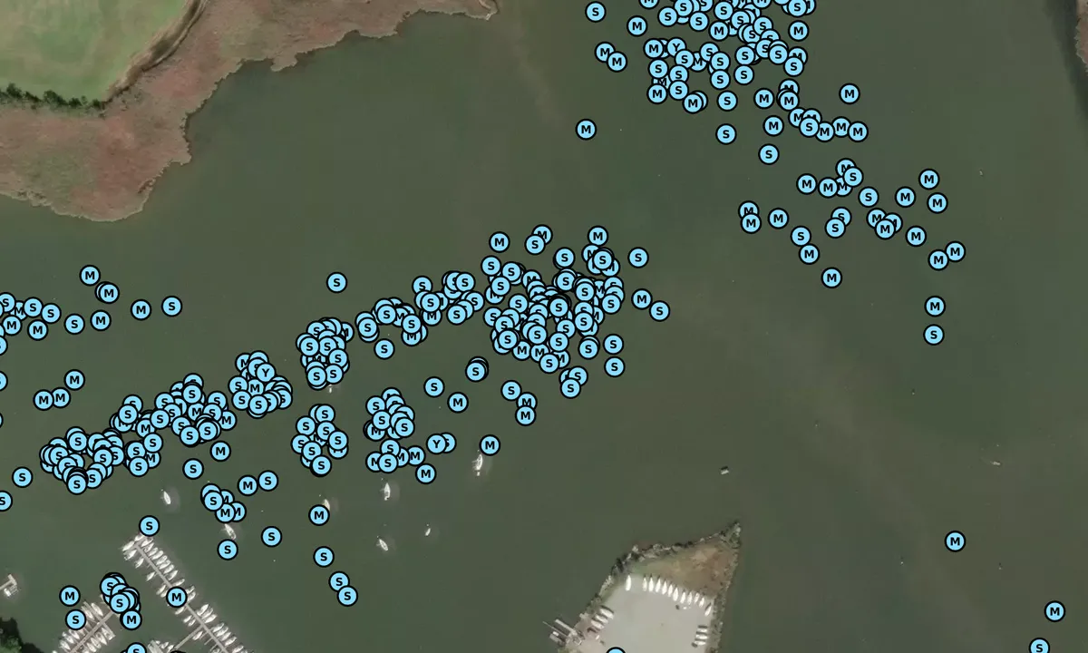 Satelite image of Swan Creek Center